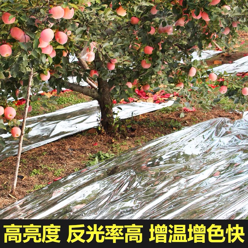 长治市po膜果树反光膜 - 哪里好